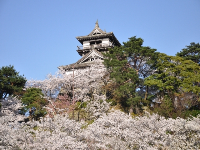 福井県の風景:丸岡城